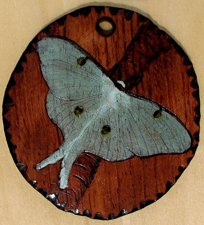 luna moth